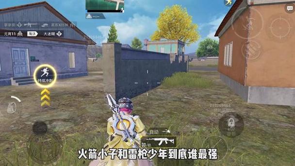 和平精英火焰鸟直装下载 - 快速部署型外挂工具