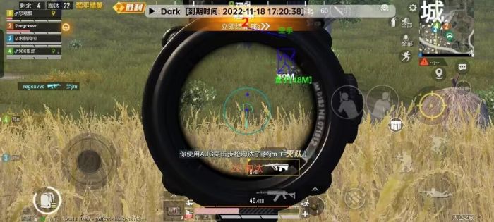 和平精英ios免费透视 - 苹果端透视挂稳定上线